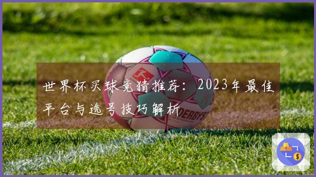 世界杯买球竞猜推荐：2023年最佳平台与选号技巧解析