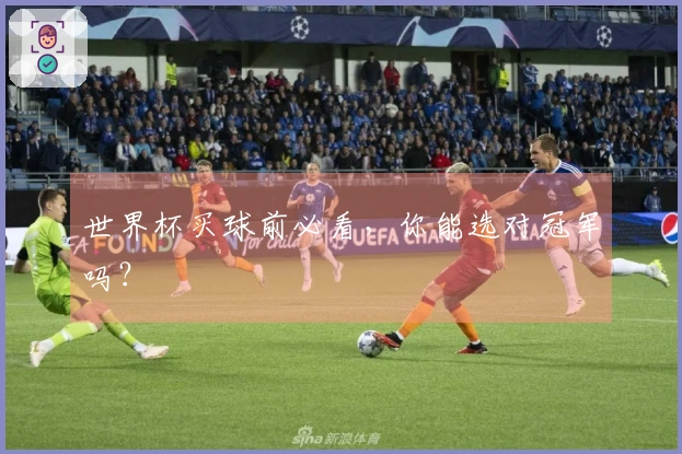 世界杯买球前必看，你能选对冠军吗？