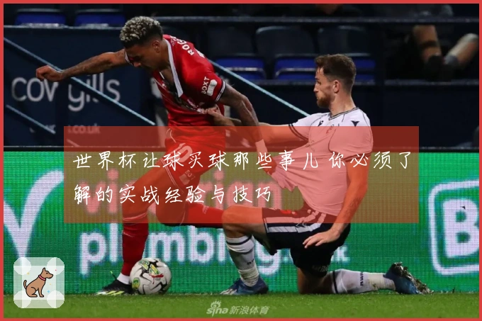 世界杯让球买球那些事儿 你必须了解的实战经验与技巧