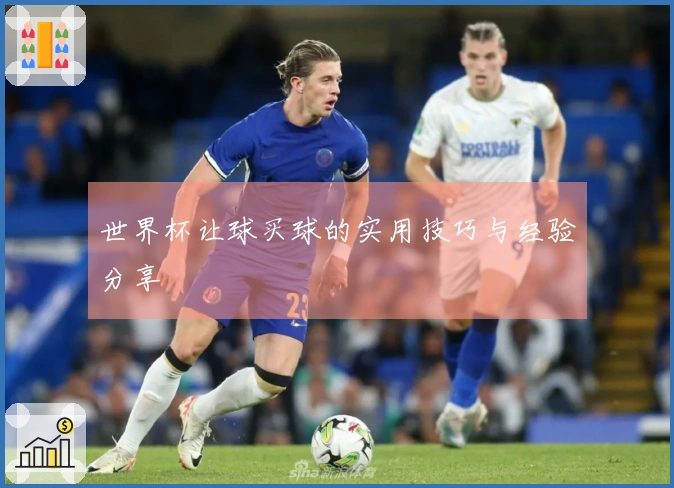 世界杯让球买球的实用技巧与经验分享
