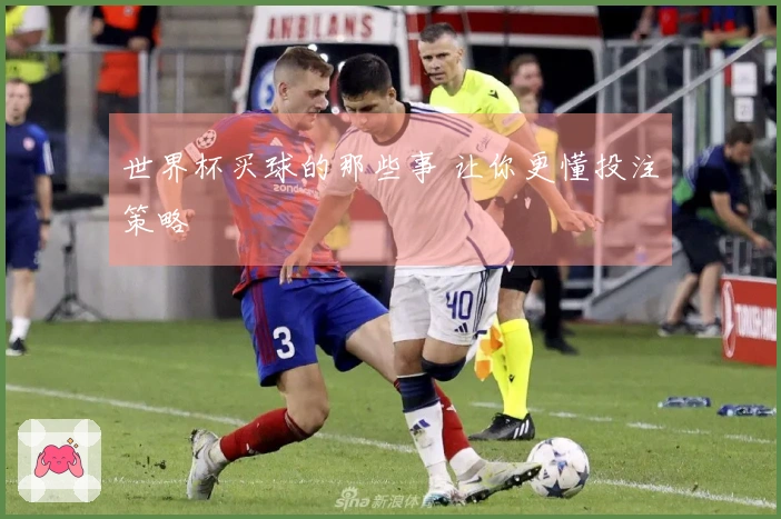 世界杯买球的那些事 让你更懂投注策略