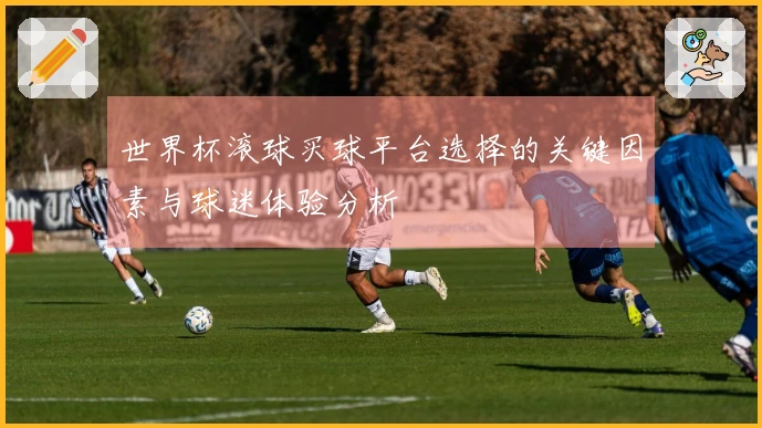 世界杯滚球买球平台选择的关键因素与球迷体验分析