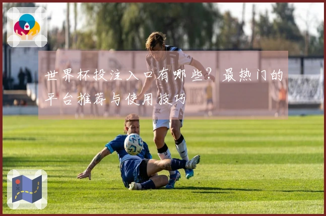 世界杯投注入口有哪些？最热门的平台推荐与使用技巧