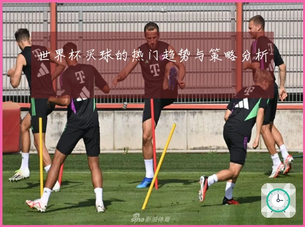 世界杯买球的热门趋势与策略分析