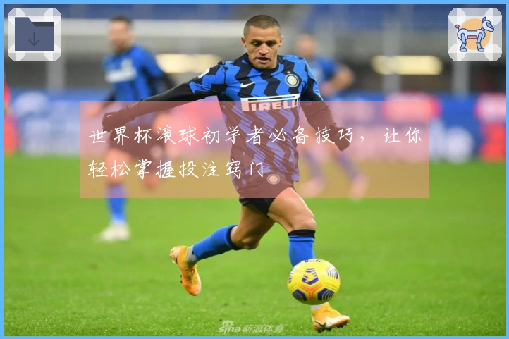 世界杯滚球初学者必备技巧，让你轻松掌握投注窍门