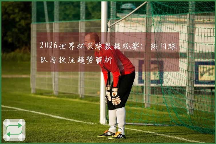 2026世界杯买球数据观察：热门球队与投注趋势解析