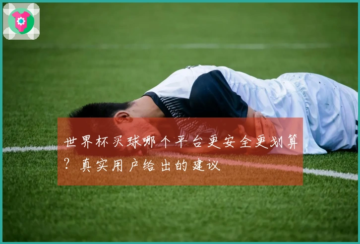 世界杯买球哪个平台更安全更划算？真实用户给出的建议