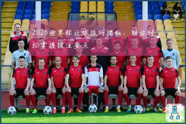 2026世界杯让球技巧揭秘，助你轻松掌握投注要点