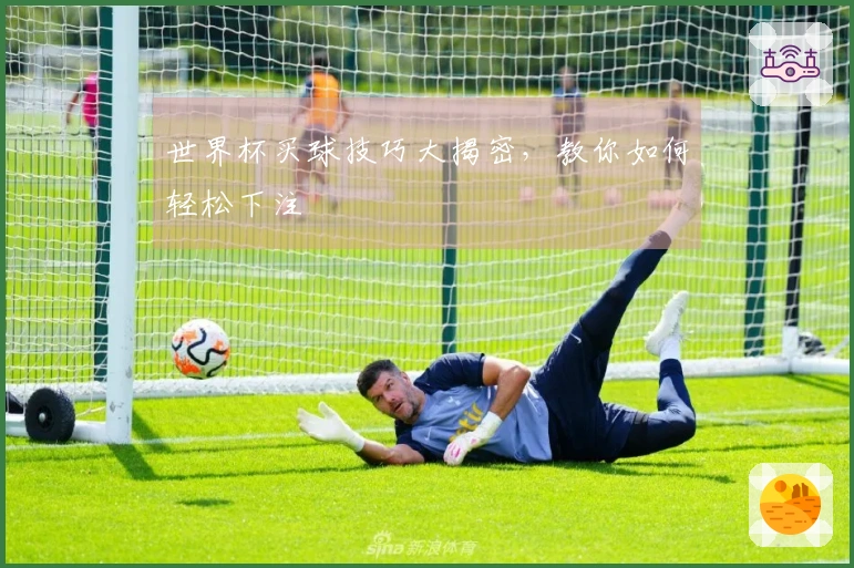 世界杯买球技巧大揭密，教你如何轻松下注