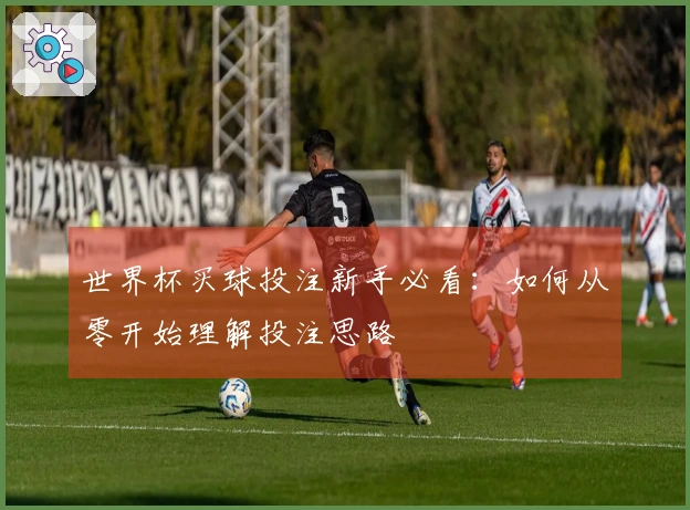 世界杯买球投注新手必看：如何从零开始理解投注思路