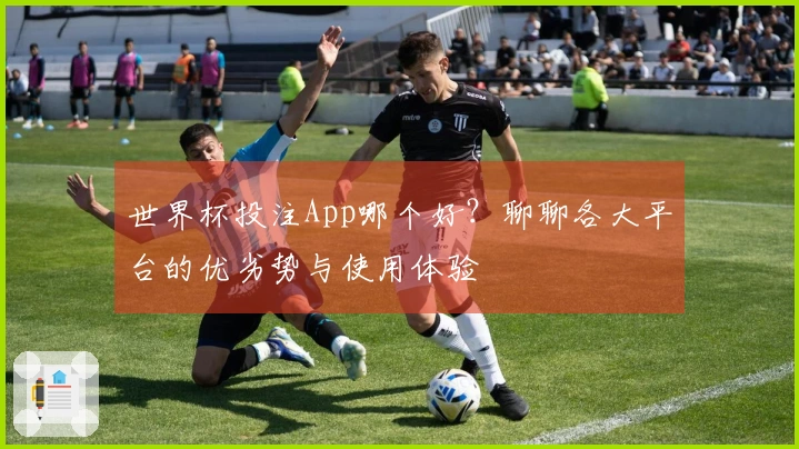 世界杯投注App哪个好?聊聊各大平台的优劣势与使用体验