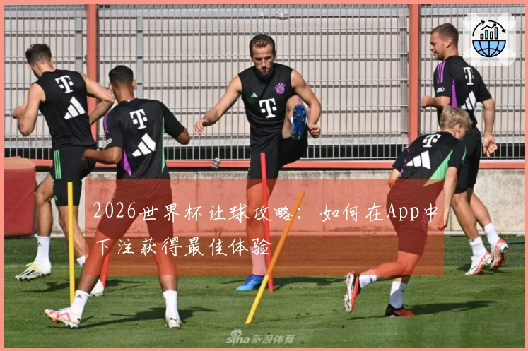 2026世界杯让球攻略：如何在App中下注获得最佳体验