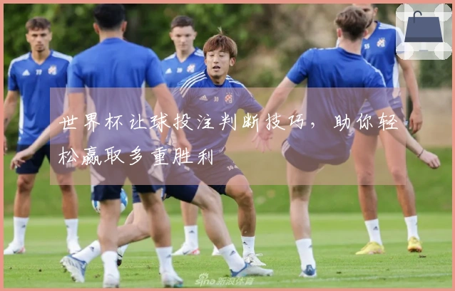 世界杯让球投注判断技巧，助你轻松赢取多重胜利