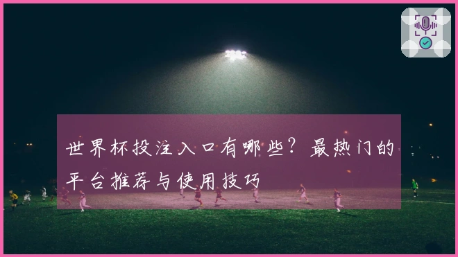 世界杯投注入口有哪些？最热门的平台推荐与使用技巧