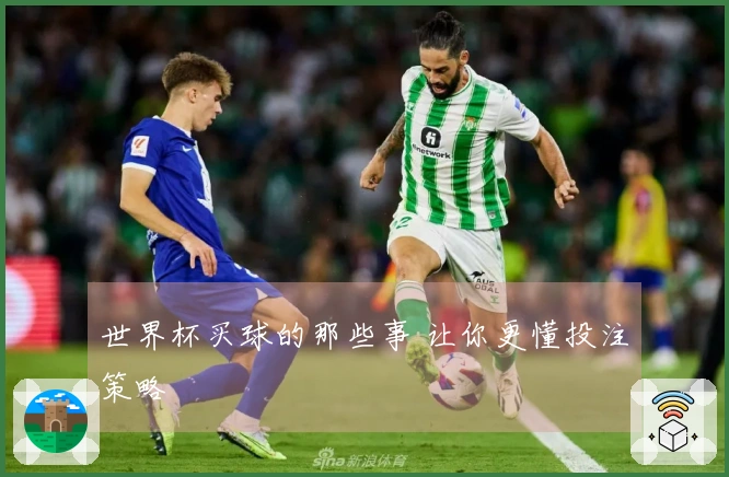 世界杯买球的那些事 让你更懂投注策略