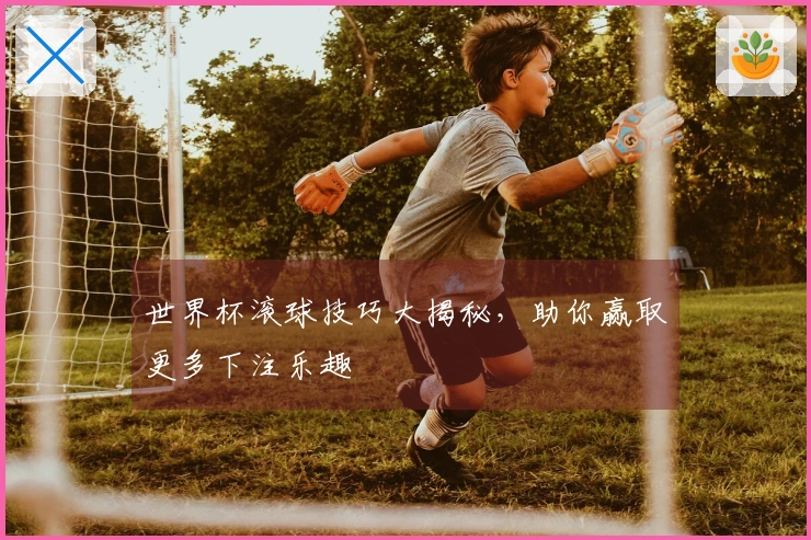 世界杯滚球技巧大揭秘，助你赢取更多下注乐趣