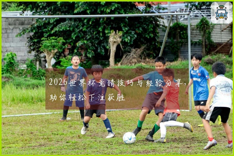 2026世界杯竞猜技巧与经验分享，助你轻松下注获胜