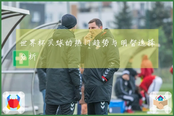 世界杯买球的热门趋势与明智选择分析