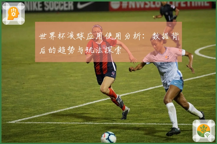 世界杯滚球应用使用分析：数据背后的趋势与玩法探索