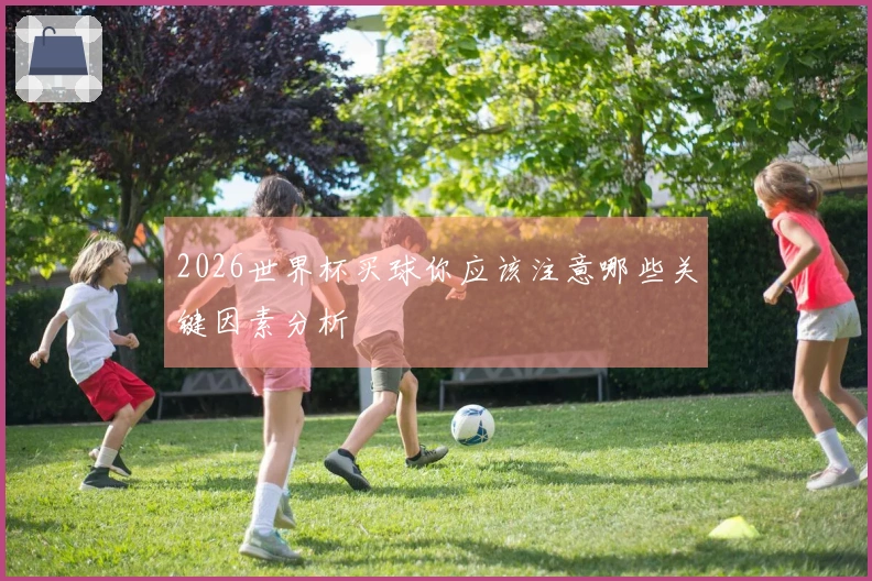 2026世界杯买球你应该注意哪些关键因素分析