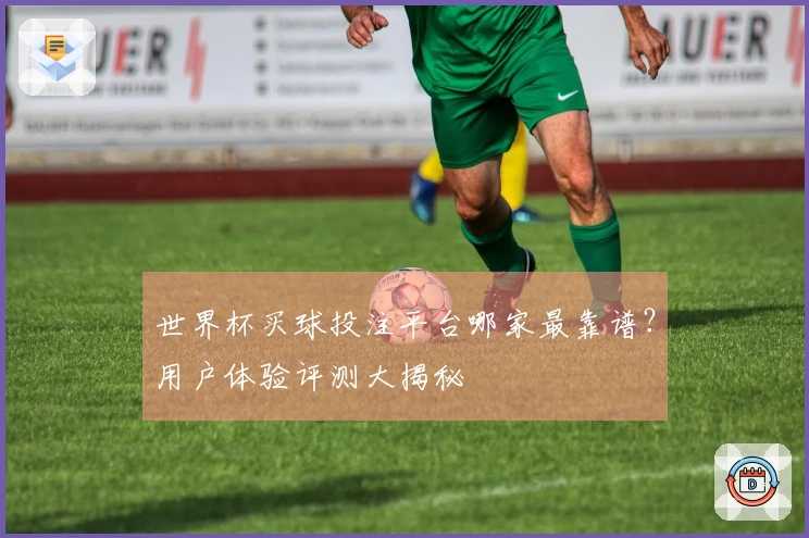 世界杯买球投注平台哪家最靠谱？用户体验评测大揭秘