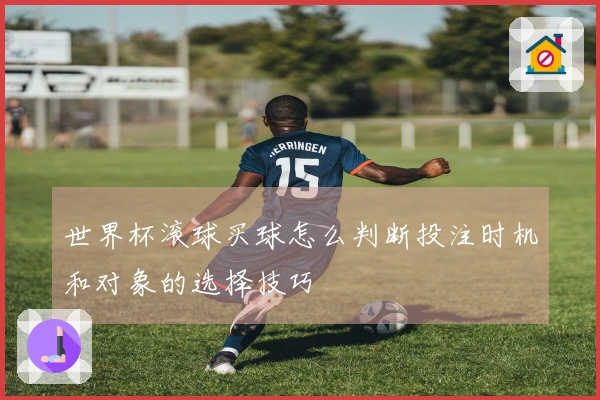 世界杯滚球买球怎么判断投注时机和对象的选择技巧