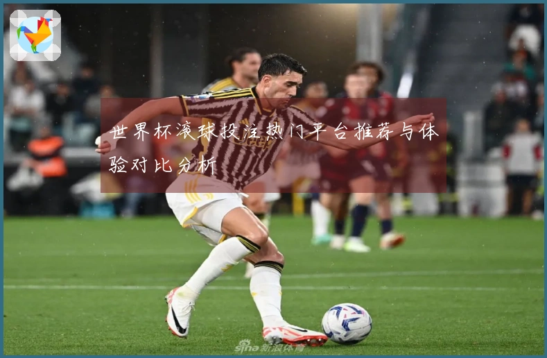 世界杯滚球投注热门平台推荐与体验对比分析